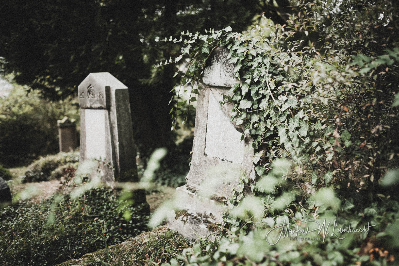 Rimbeck, Jüdischer Friedhof